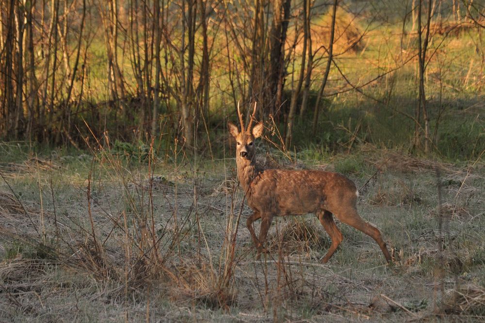 Photograph by Юрий Яковлев