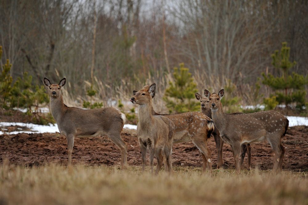 Photograph by Юрий Яковлев