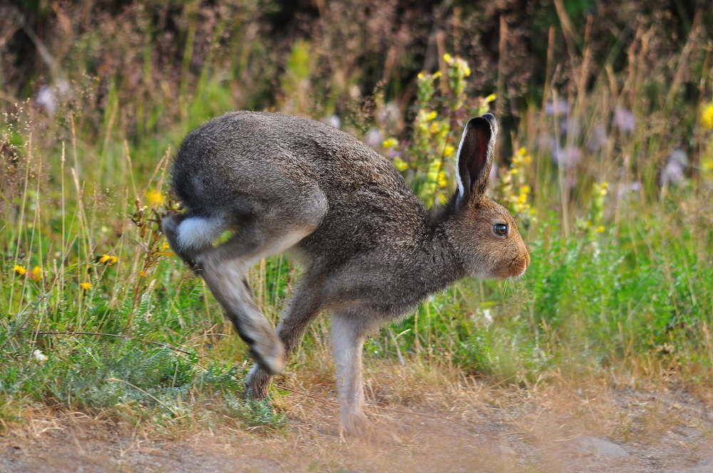 Photograph by Юрий Яковлев