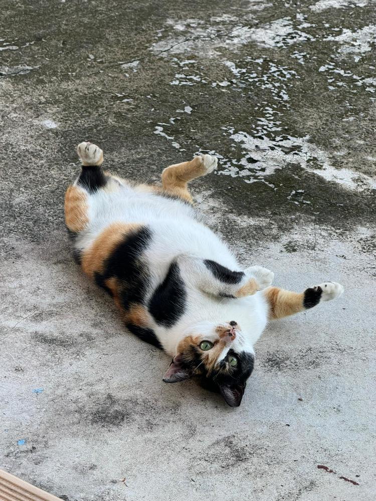 Photograph by Marianie Joanes