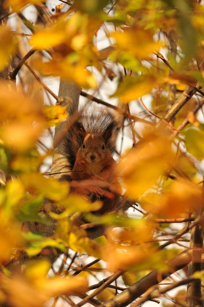Photograph by Юрий Яковлев