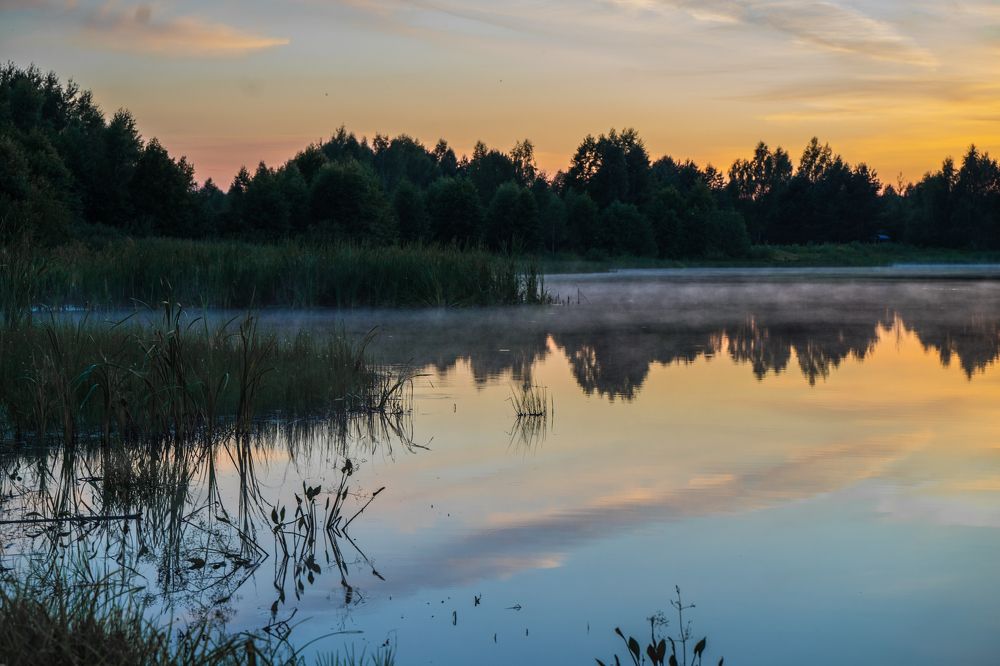 Фотография автора Василиса Новикова