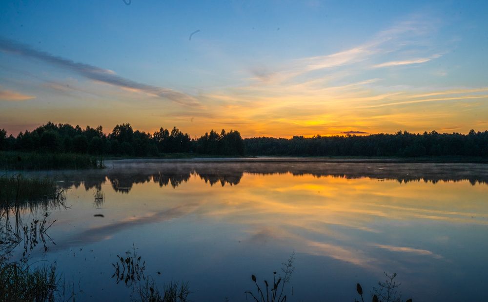 Фотография автора Василиса Новикова