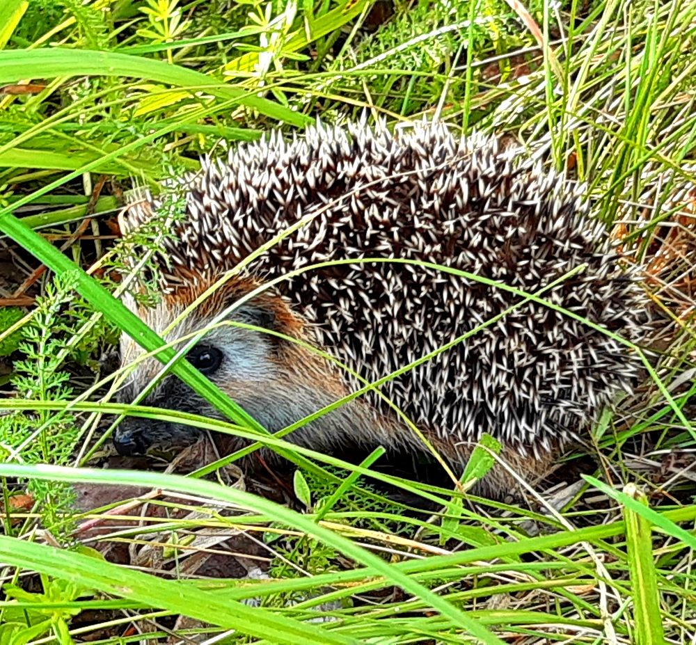 Photograph by Екатерина