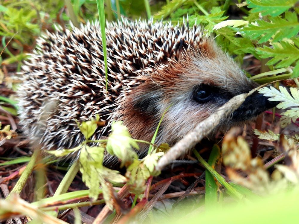 Photograph by Екатерина