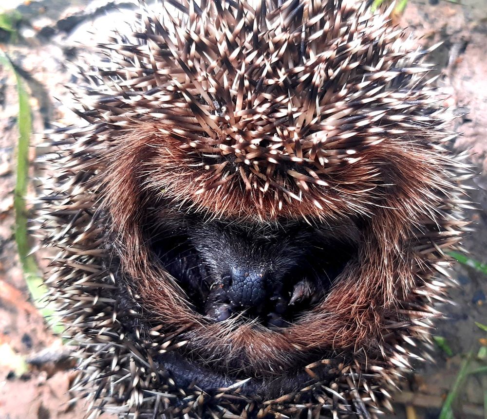 Photograph by Екатерина