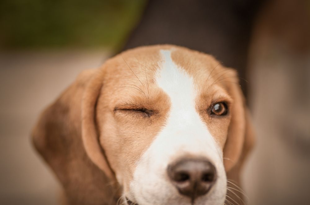 Photograph by Stacey