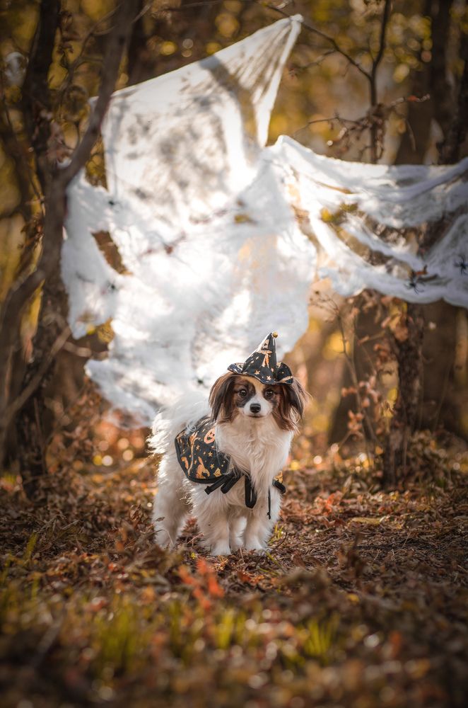 Photograph by Stacey