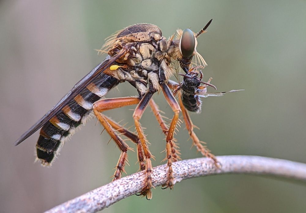 Photograph by TRONG QUYET NGUYEN