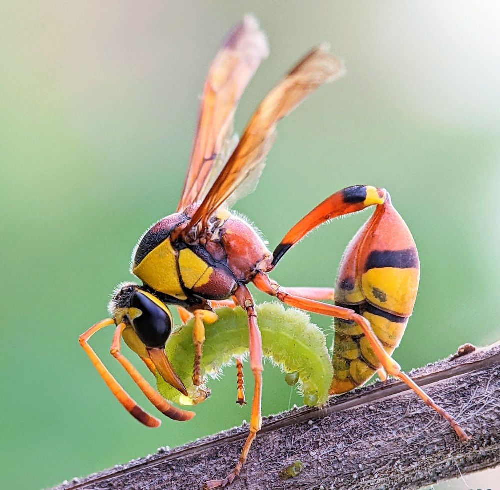 Photograph by TRONG QUYET NGUYEN