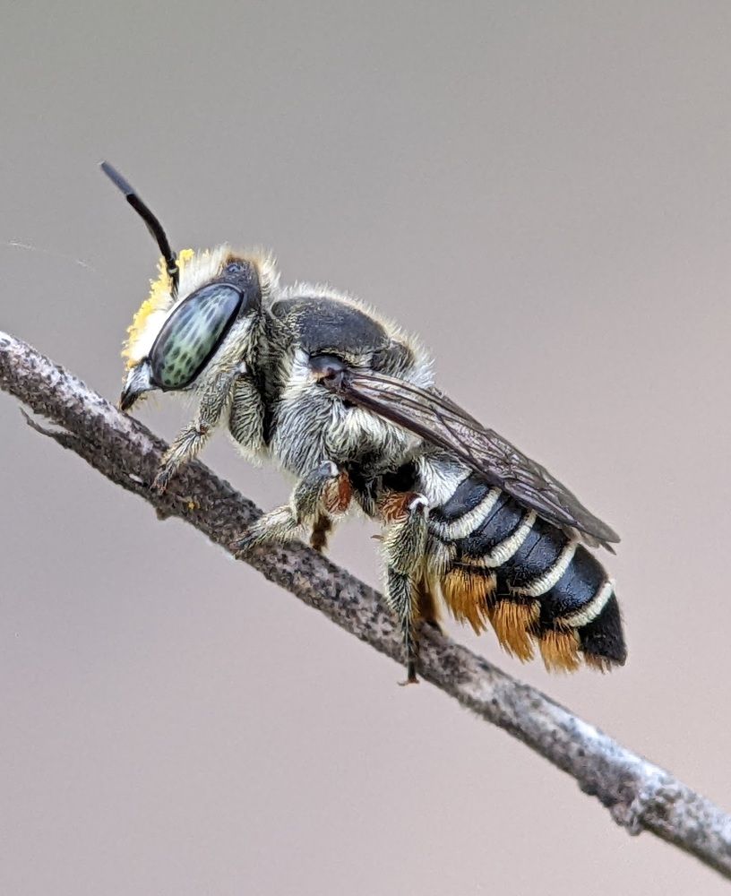 Photograph by TRONG QUYET NGUYEN