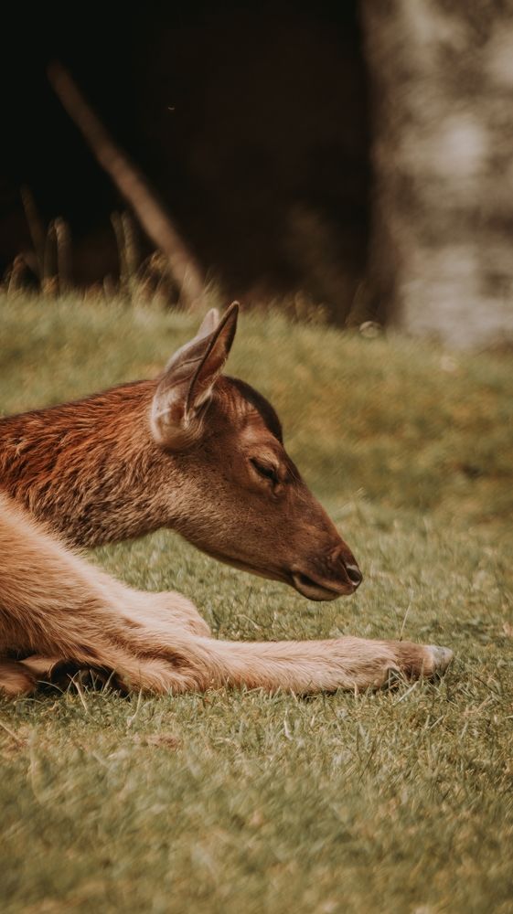 Photograph by Даниил Сырбу