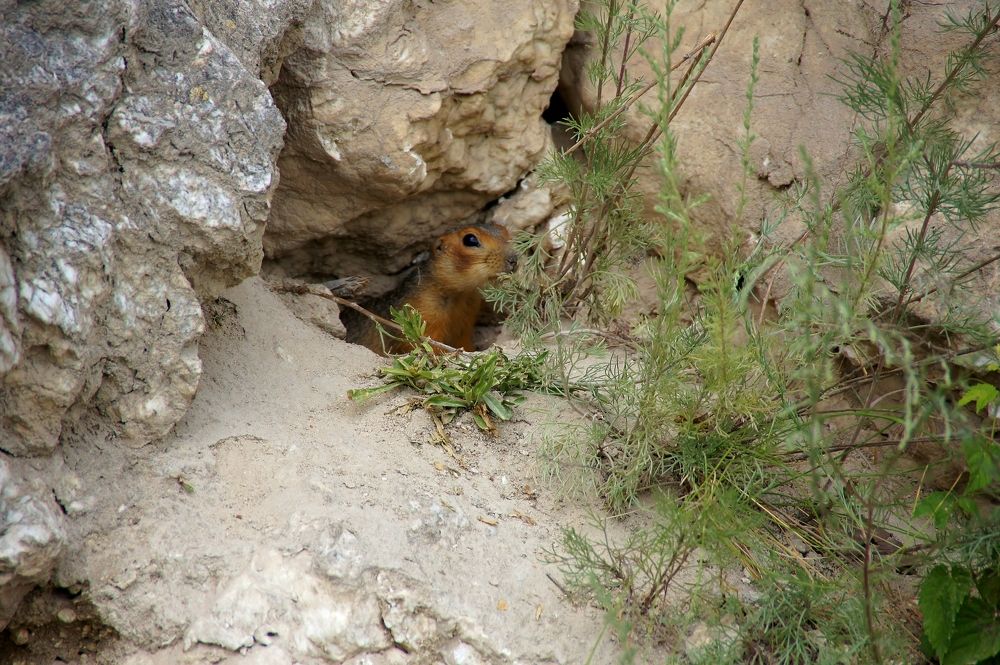 Photograph by Светлана Стрельцова