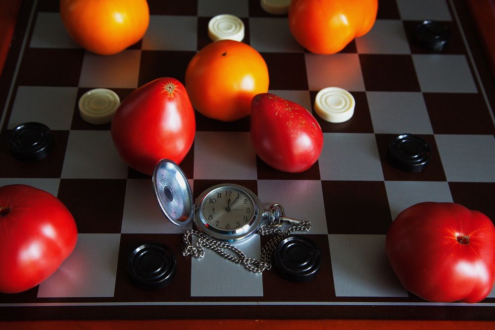 Photograph by Анатолий Протасов