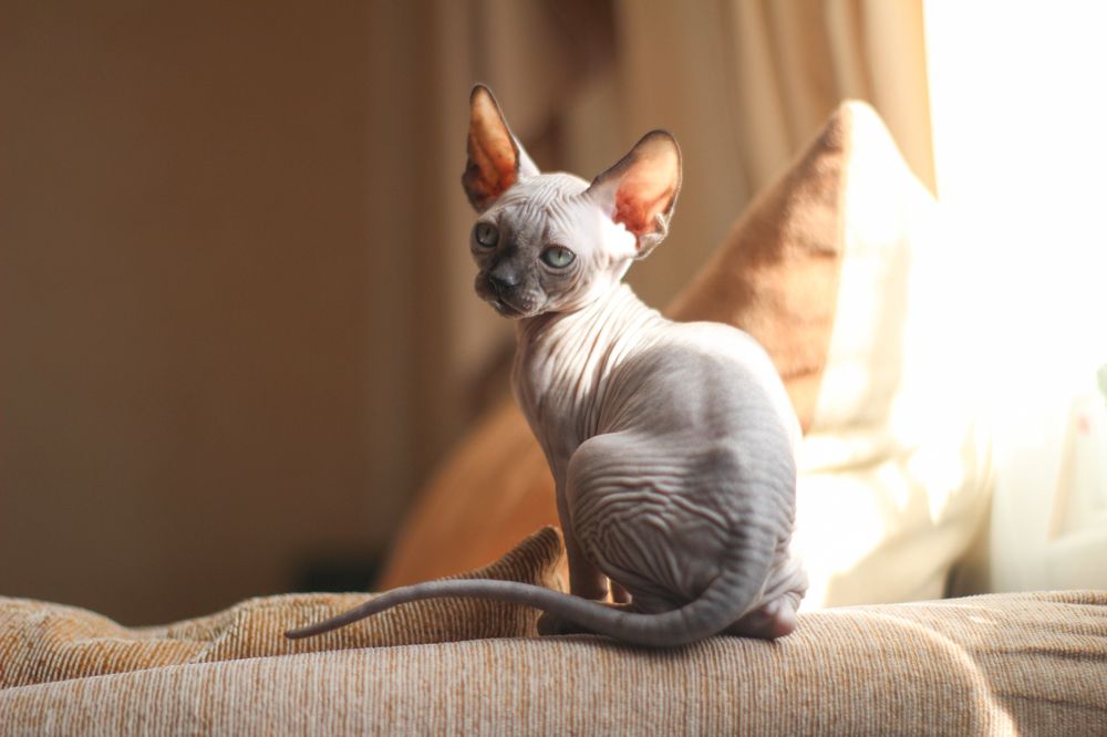 Photograph by Карина Кириченко