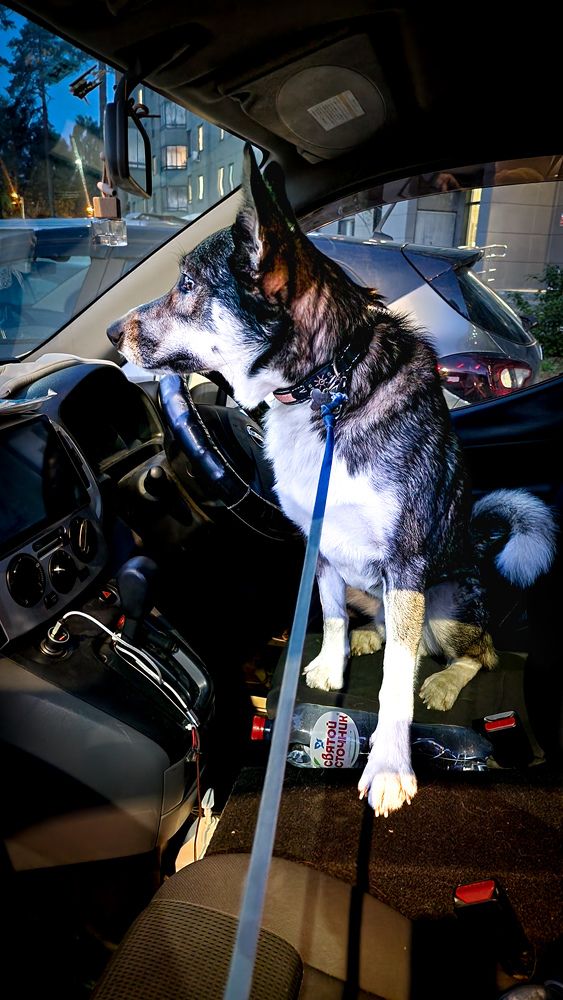 Фотография автора Всеволод Юрша