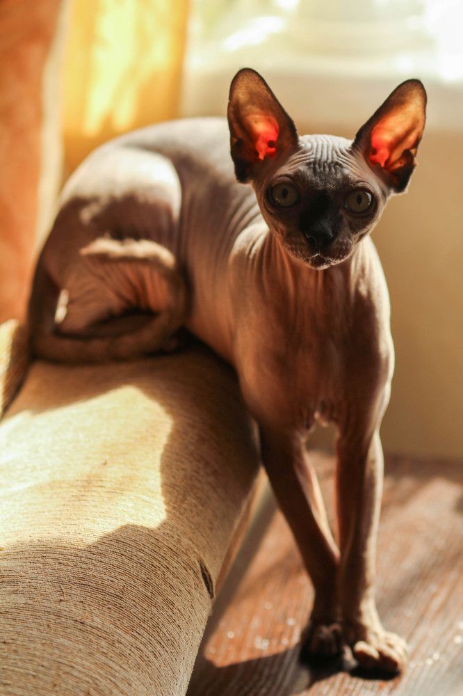 Photograph by Карина Кириченко