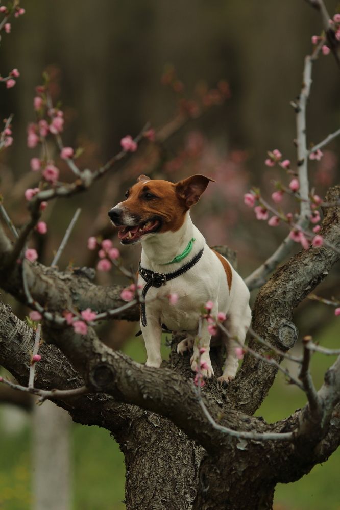 Photograph by Карина Кириченко