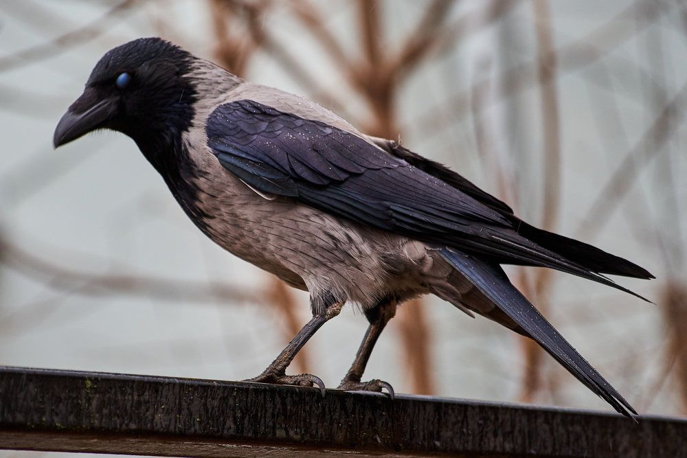 Photograph by Дмитрий Солодухин