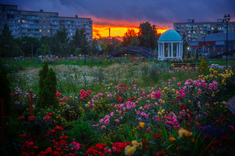 Photograph by Алексей Трифонов