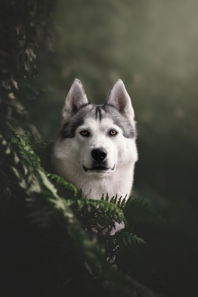 Фотография автора Rut Casanellas