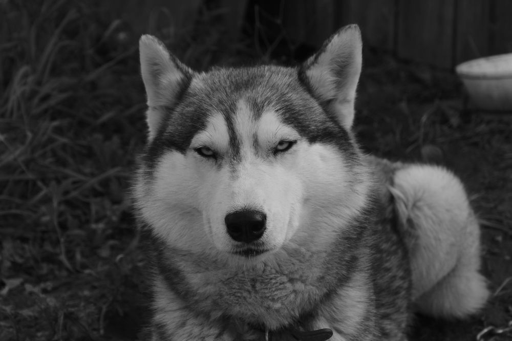 Photograph by Анна Рогачева