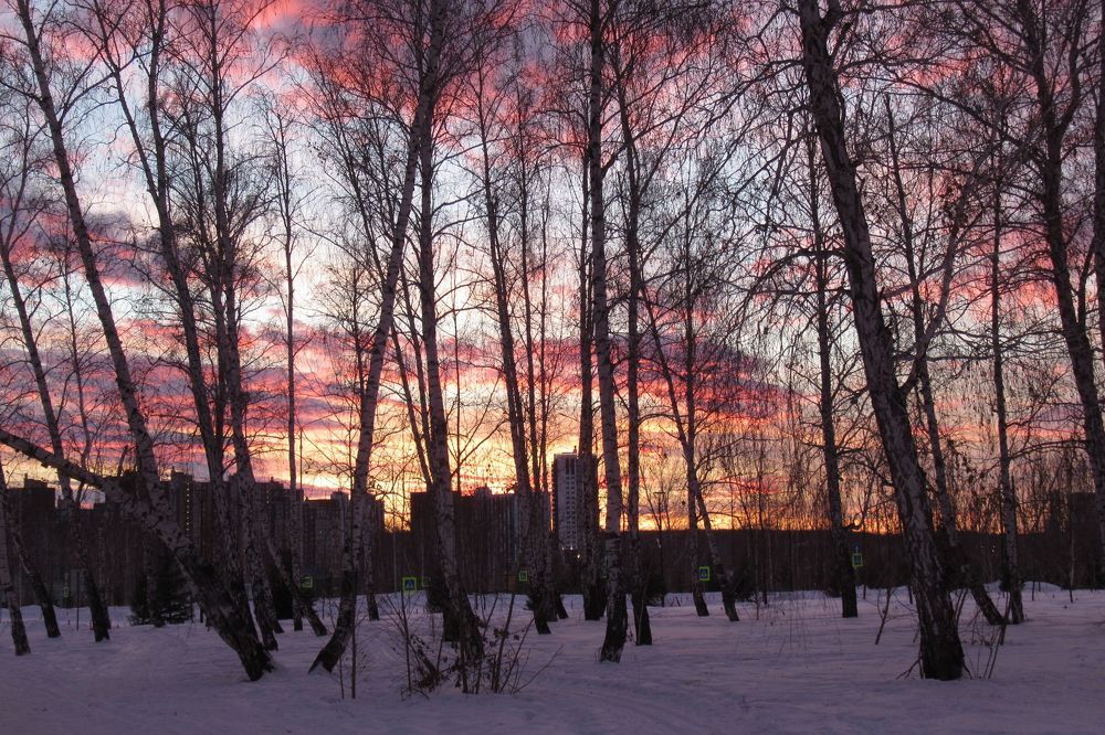 Вечер в городском парке
