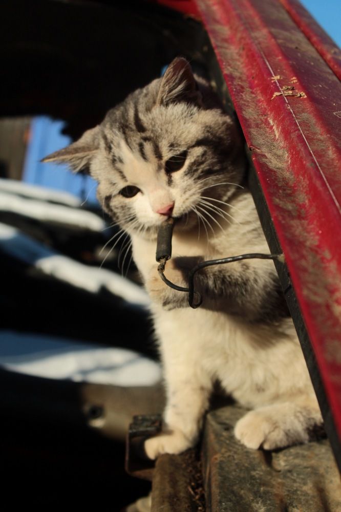 Photograph by Анна Рогачева