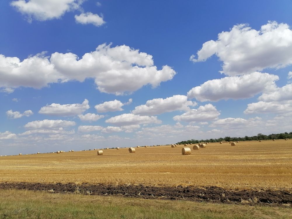 Photograph by Татьяна Михайловна