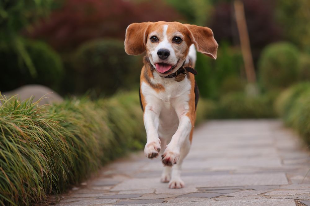 Фотография автора Регина Гущина