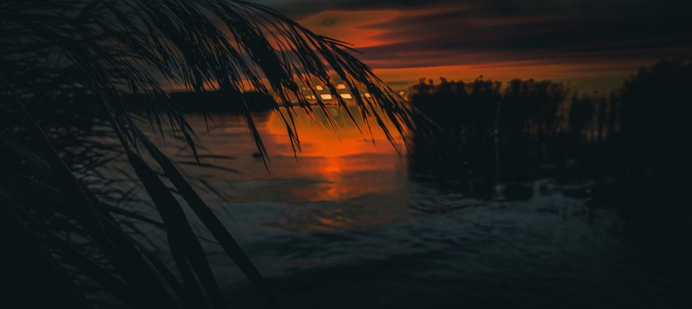 Фотография автора Дмитрий Писарев