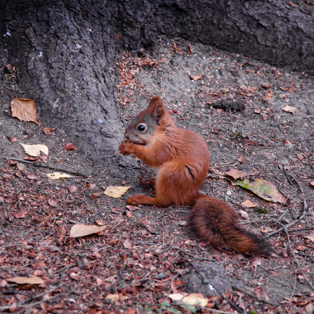 Photograph by Роман