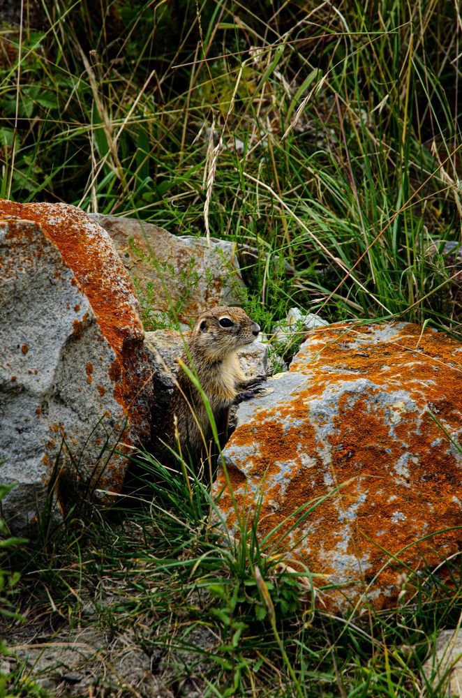 Photograph by Роман