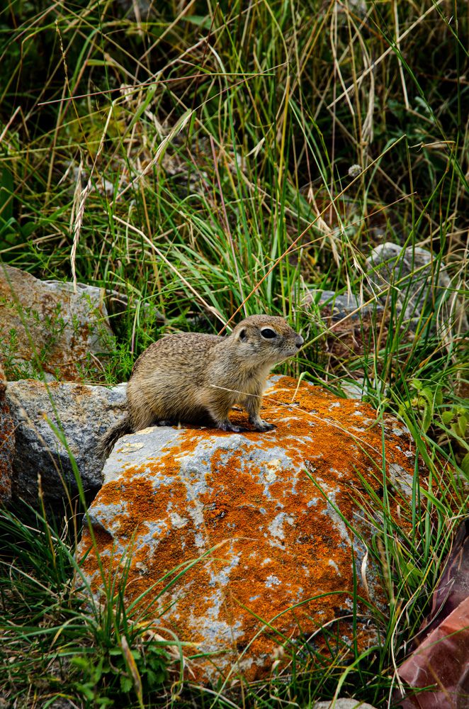 Photograph by Роман