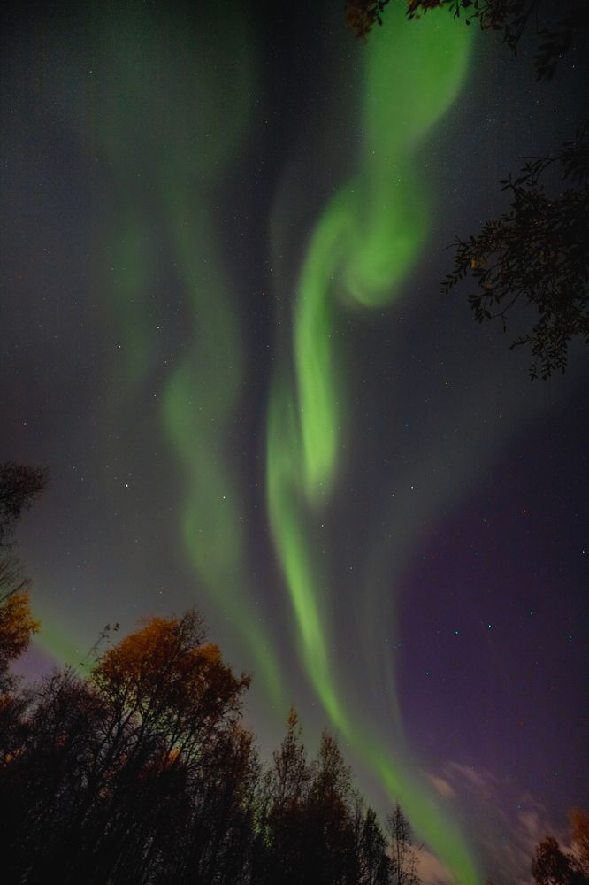 Photograph by Артемий Соловьёв