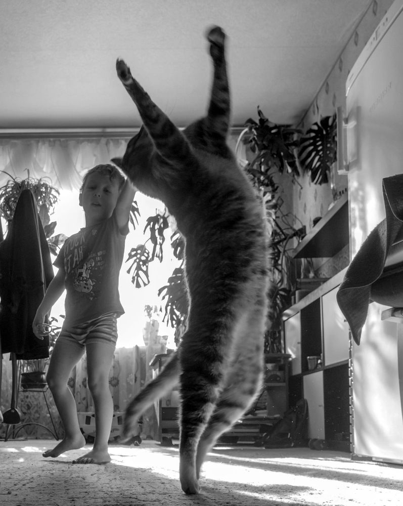 Фотография автора Ольга Лихтарь