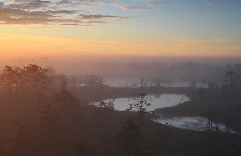 Photograph by IJA REIMAN