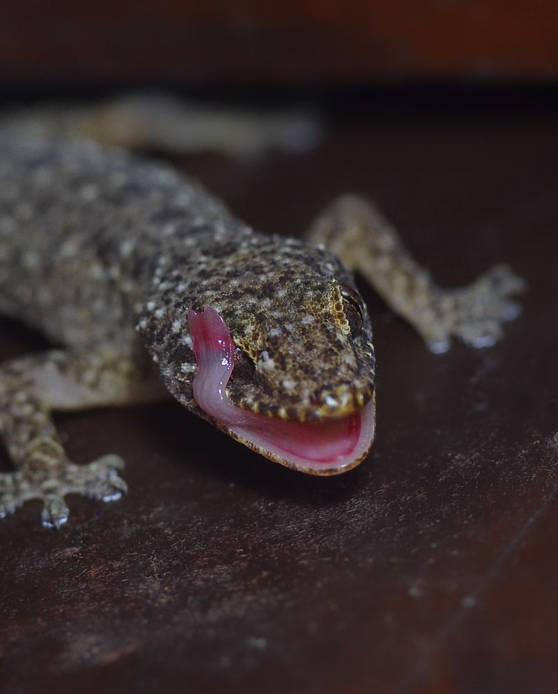 Photograph by Kasun Wickramasinghe