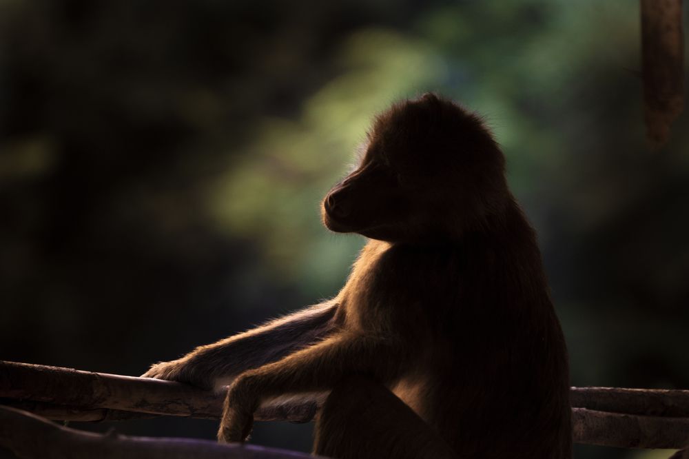 Photograph by Victoryvikas Dadala