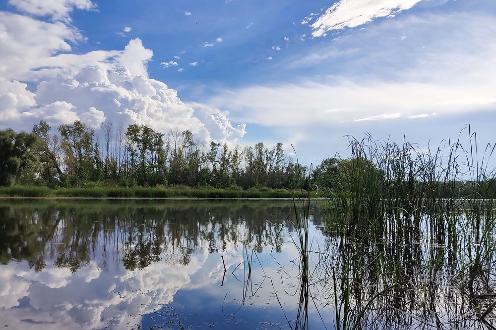 Photograph by Алексей