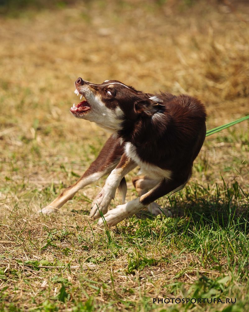 Photograph by Burov Evgeny