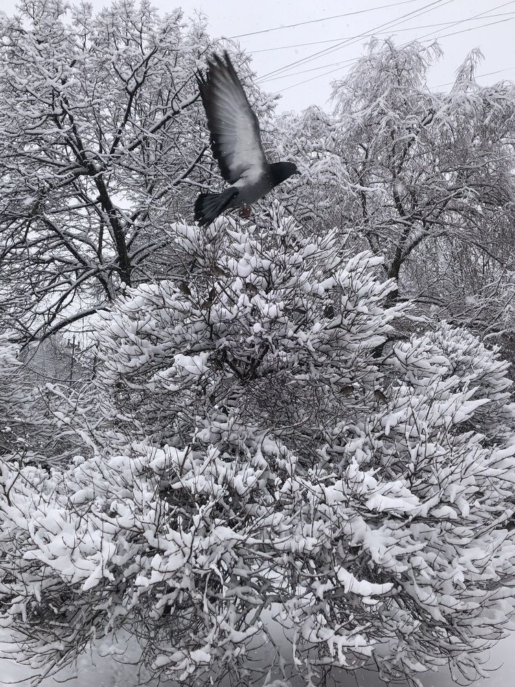 Фотография автора Ольга
