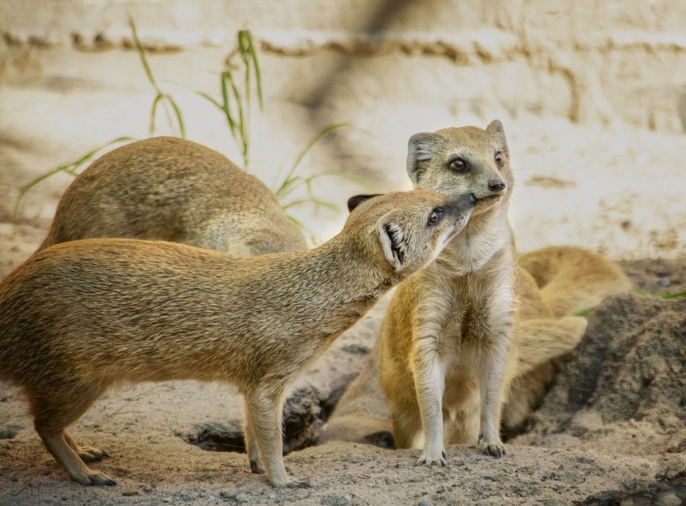 Photograph by Юлия Лушникова