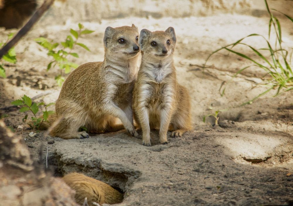 Photograph by Юлия Лушникова