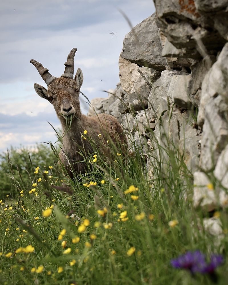 Photograph by Малика Маткарим