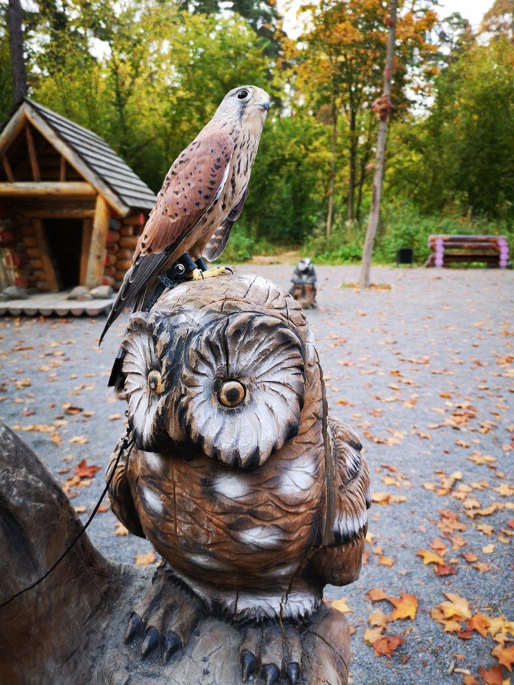 Photograph by Liubov Tarasova