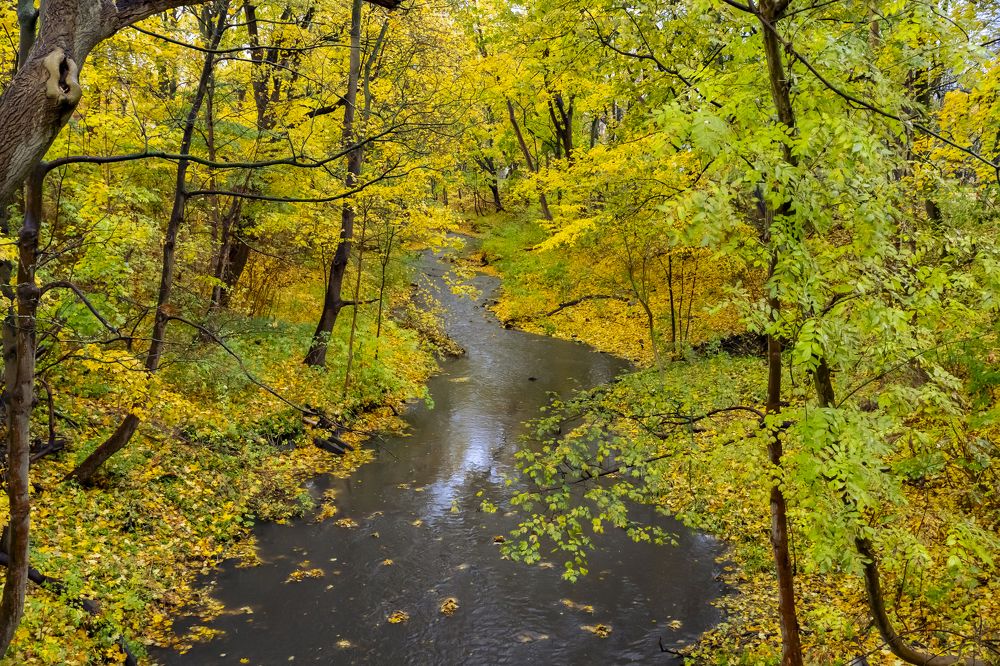 Photograph by Константин Чижов