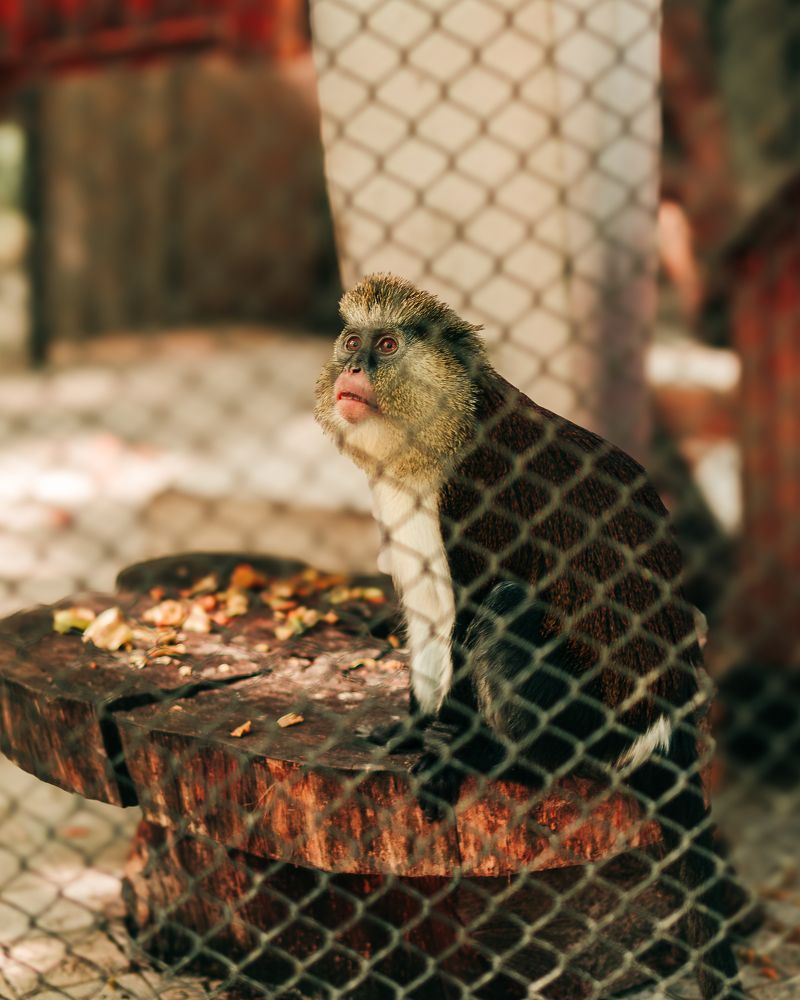 Photograph by Kristiyan Dragoev
