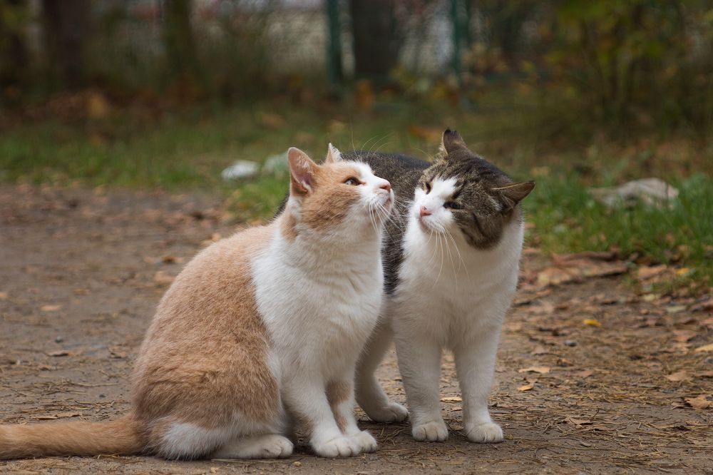 Photograph by Светлана Давыдова