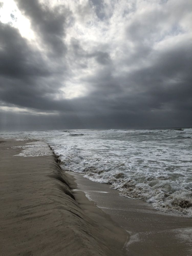 Photograph by Светлана